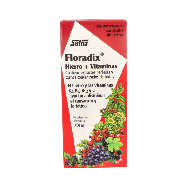 Floradix 250ml